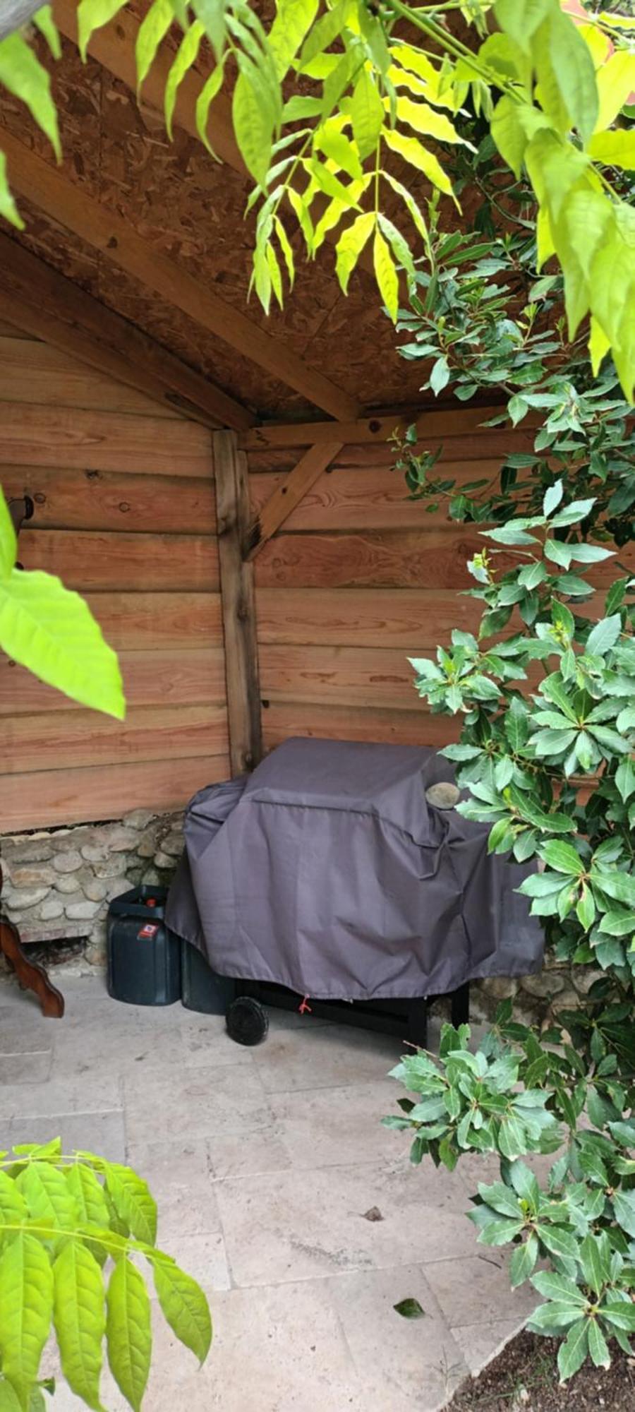 Sous L'olivier * Buisson